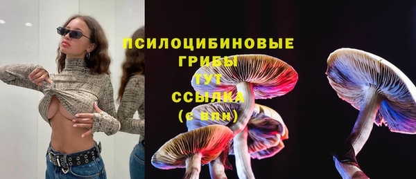 кокс Абаза
