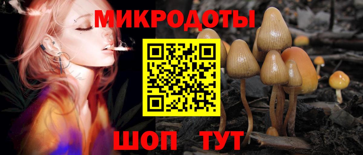Галлюциногенные грибы мицелий Алатырь