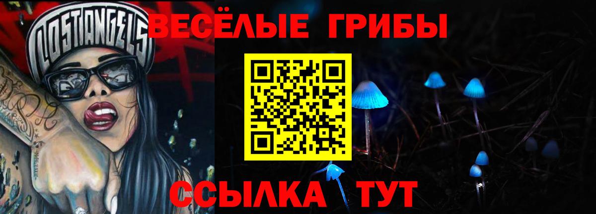 Псилоцибиновые грибы прущие грибы  Псилоцибиновые грибы MAGIC MUSHROOMS  Вход с VPN  Алатырь 