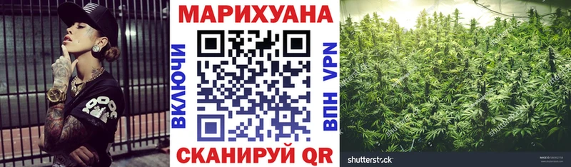 Бошки Шишки OG Kush  закладки  omg зеркало  Алатырь 
